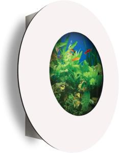 AQUARIUM mural rond, 560 mm, aluminium/verre, blanc