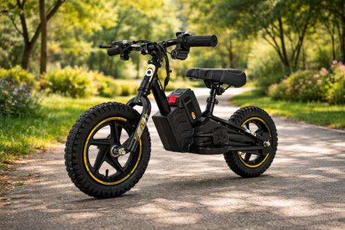 Vélo électrique enfant 12 pouces – Draisienne tout-terrain 250 W – 3 à 6 ans – 3 vitesses