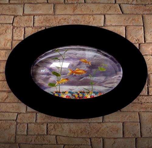 AQUARIUM mural noir, ovale, aluminium/verre