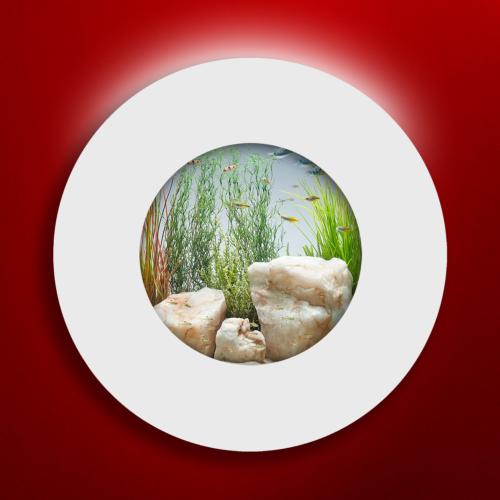 AQUARIUM mural rond, 560 mm, aluminium/verre, blanc