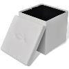 Pouf de rangement cube coffre tabouret, blanc