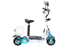 TROTTINETTE électrique de luxe, complète 800 W, bleu/blanc