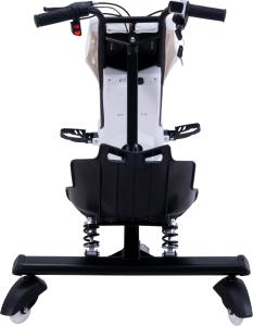 TROTTINETTE DRIFT électrique blanche, 250 W, avec LEDS