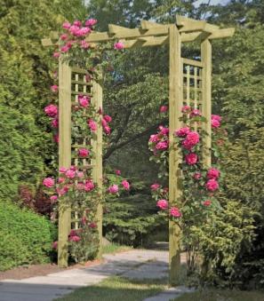 PERGOLA en EPICEA massif, largeur 160 cm, modèle TORROX