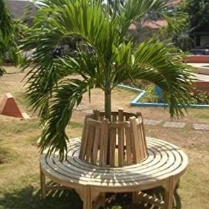 BANC de jardin tour d'arbre en teck, diamètre 150 cm
