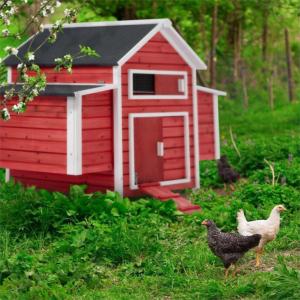 Poulailler, bois massif rouge, 6 poules, modèle PACIFIQUE