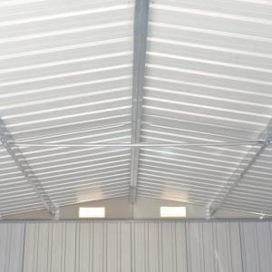 ABRI de jardin, métal galvanisé gris, 5 dimensions