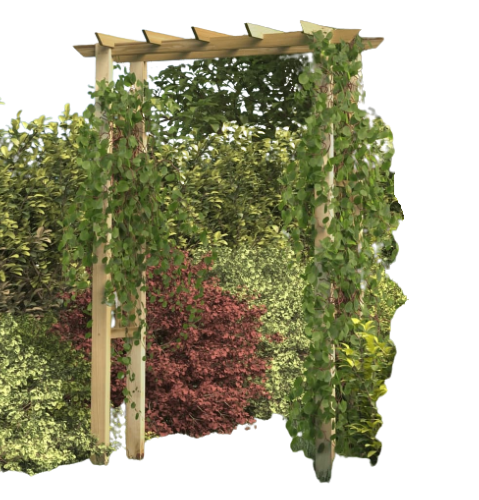 PERGOLA en bois massif, 200 x 150 cm