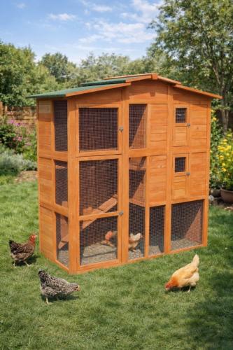 Poulailler / Clapier Bois Massif Extérieur, DETROIT, 2 étages